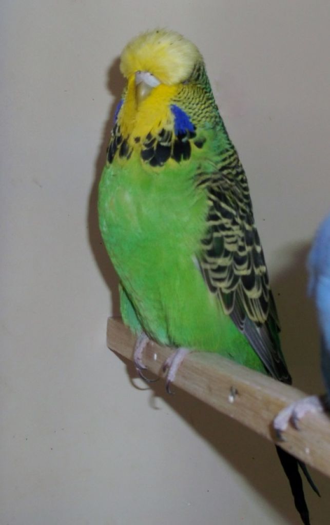 2014 003.JPG